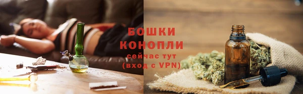 крисы Верея