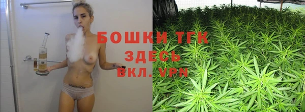 крисы Верея