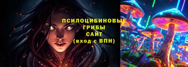 ПСИЛОЦИБИНОВЫЕ ГРИБЫ Рославль
