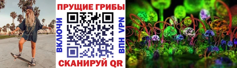 где найти   Гремячинск  Псилоцибиновые грибы прущие грибы 
