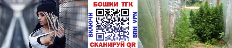 купить наркоту  Гремячинск  Марихуана гибрид 